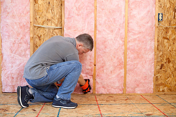 Best Professional Insulation Contractor  in USA